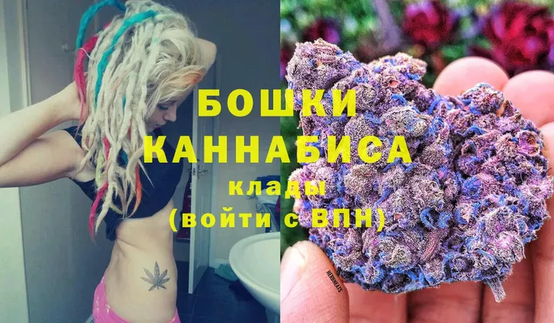 Бошки марихуана сатива  купить   Дудинка 